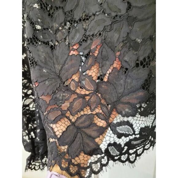 Scanlan Theodore Tie Neck Lace Blouse 6 - Picture 8 of 9